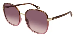 Chloe CH0031S 018