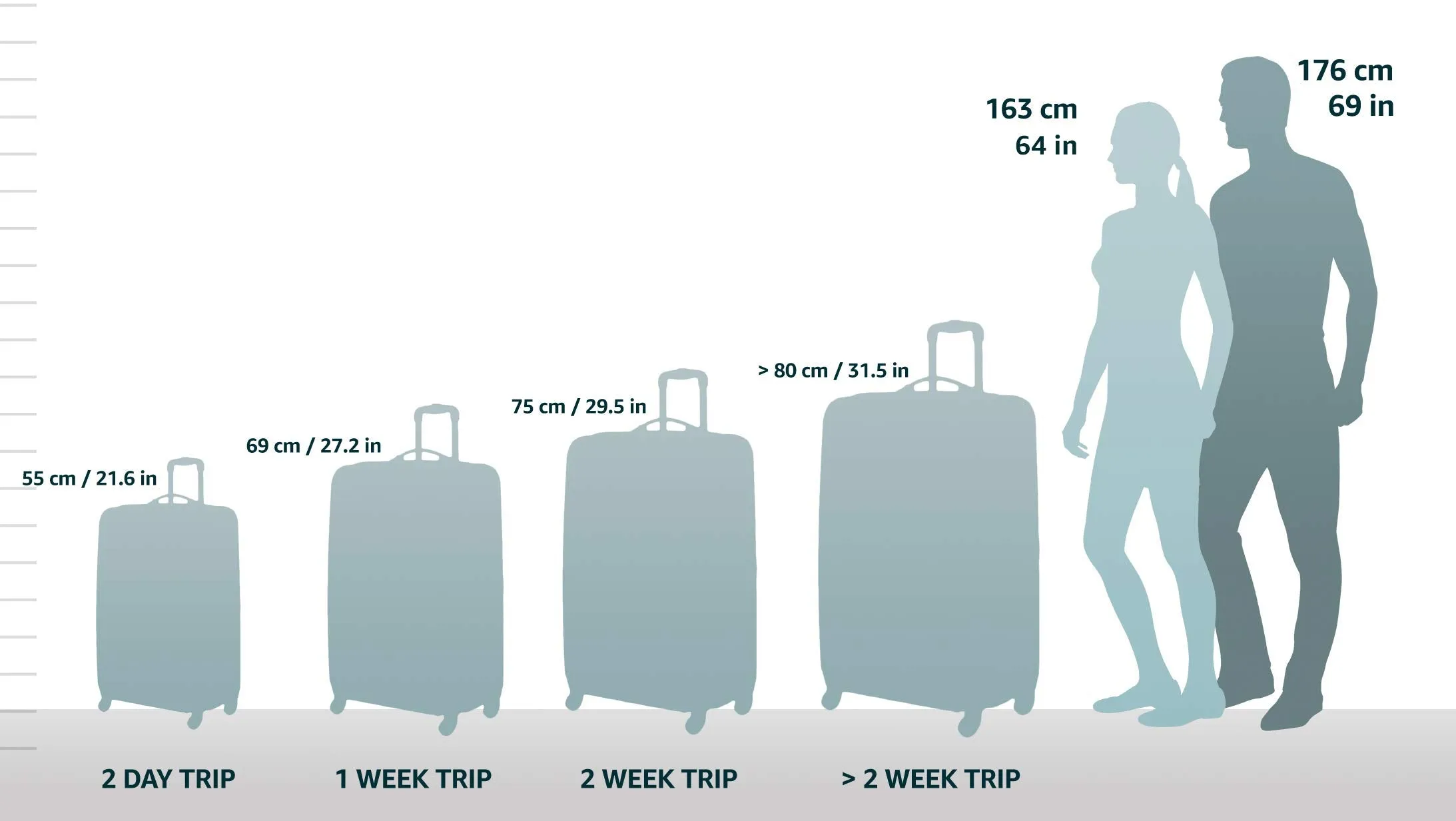 DELSEY Paris Helium Titanium 29" 4-Wheel Large Luggage