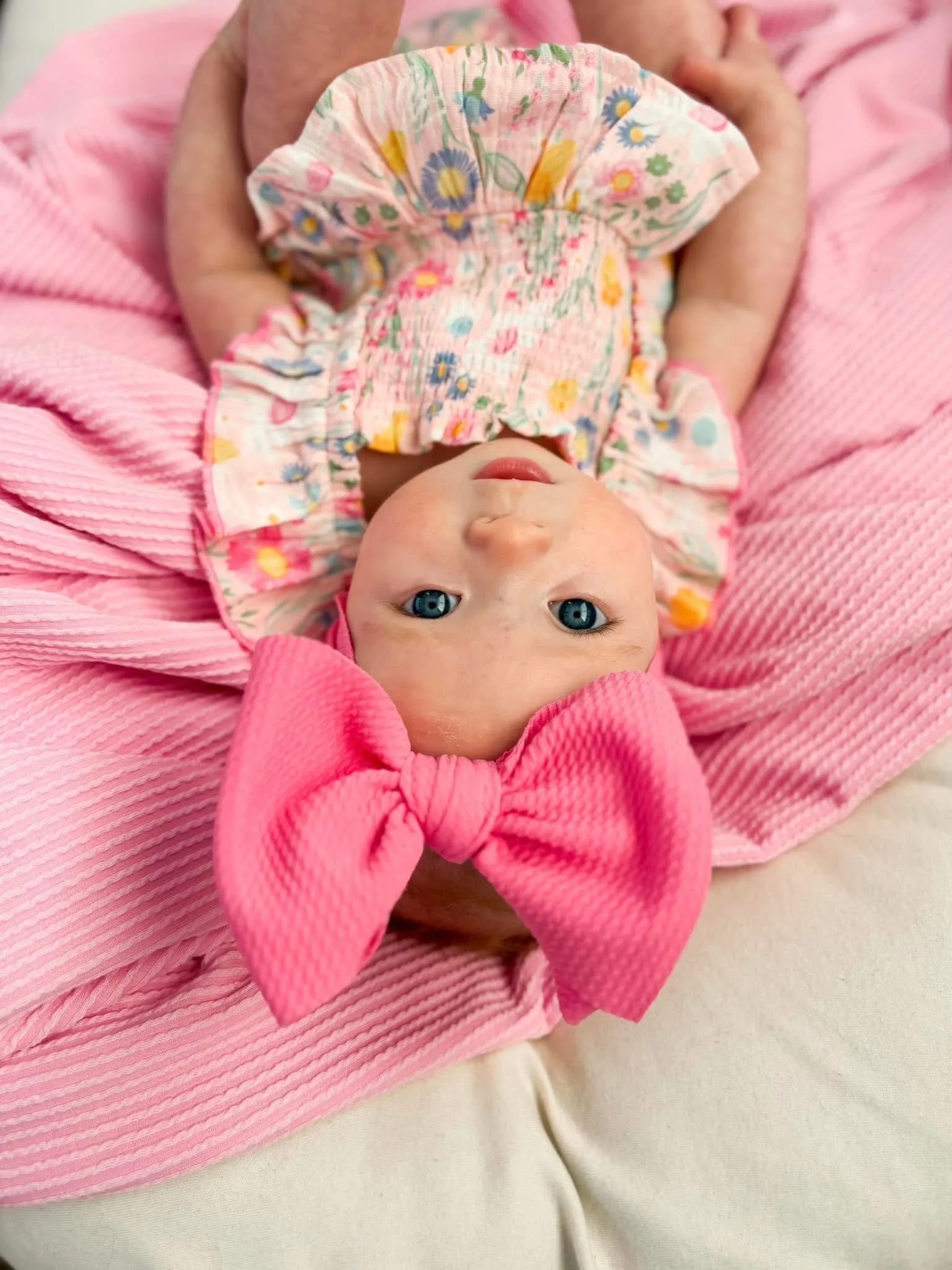 Fruity Blooms Bundle