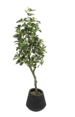 GREEN FAUX FOLIAGE EUCALYPTUS ARTIFICIAL TREE WITH BLACK PORCELAIN POT, 17" X 17" X 49"