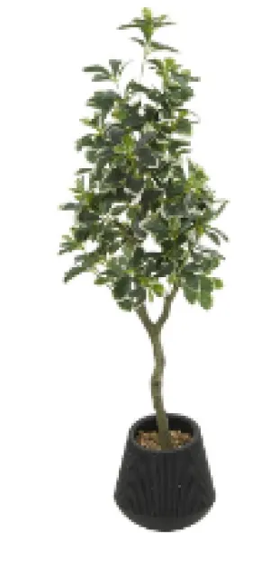 GREEN FAUX FOLIAGE EUCALYPTUS ARTIFICIAL TREE WITH BLACK PORCELAIN POT, 17" X 17" X 49"