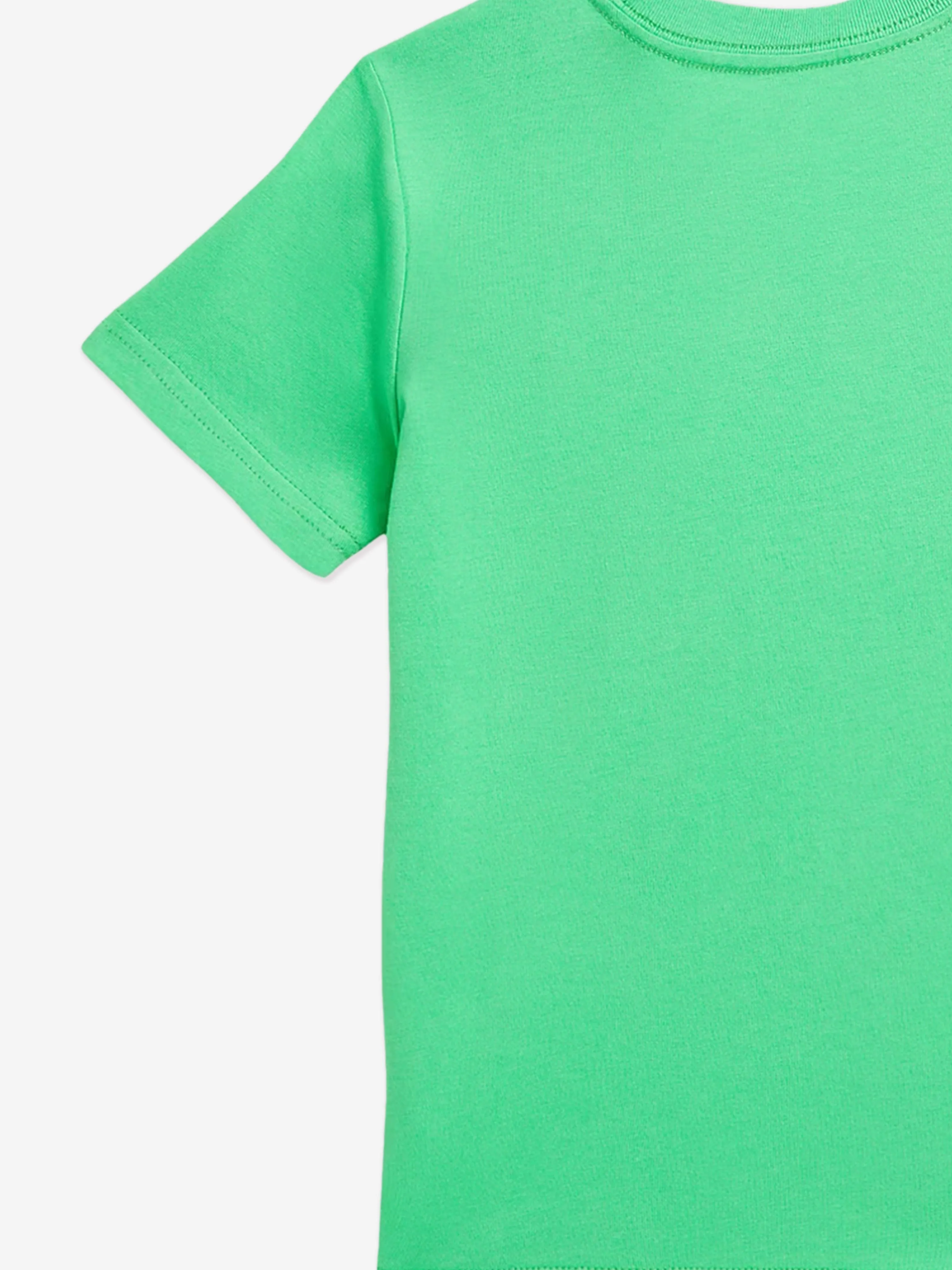 Ralph Lauren Boys Logo T-Shirt in Green