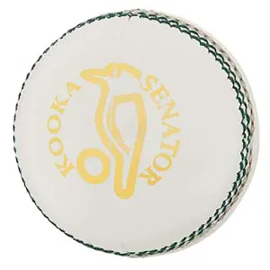Senator Cricket Ball (156g)